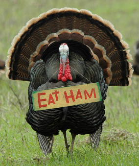 'Eat Ham' Turkey